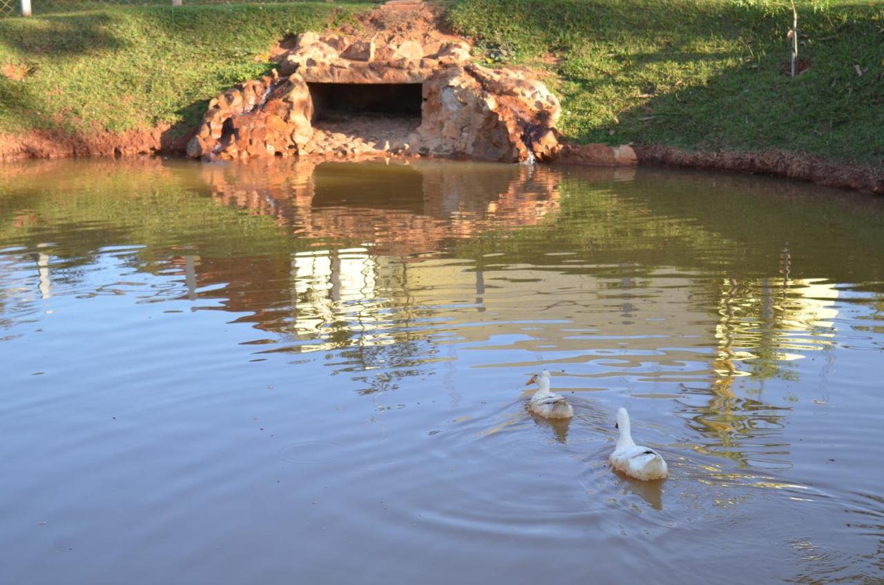 Pousada Coqueiro Verde Minas Gerais Mateus Leme Exterior foto